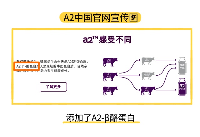 A2官网宣传图