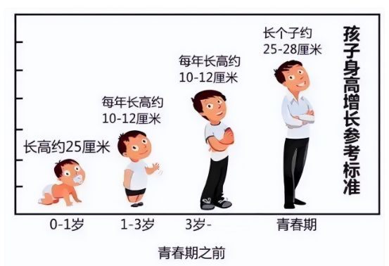 影响宝宝身高的因素有哪些？热门儿童长高奶粉解析