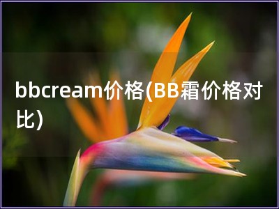 bbcream价格(BB霜价格对比)