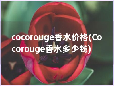 cocorouge香水价格(Cocorouge香水多少钱)