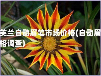 凯芙兰自动眉笔市场价格(自动眉笔价格调查)