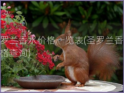 圣罗兰香水价格一览表(圣罗兰香水价格查询)